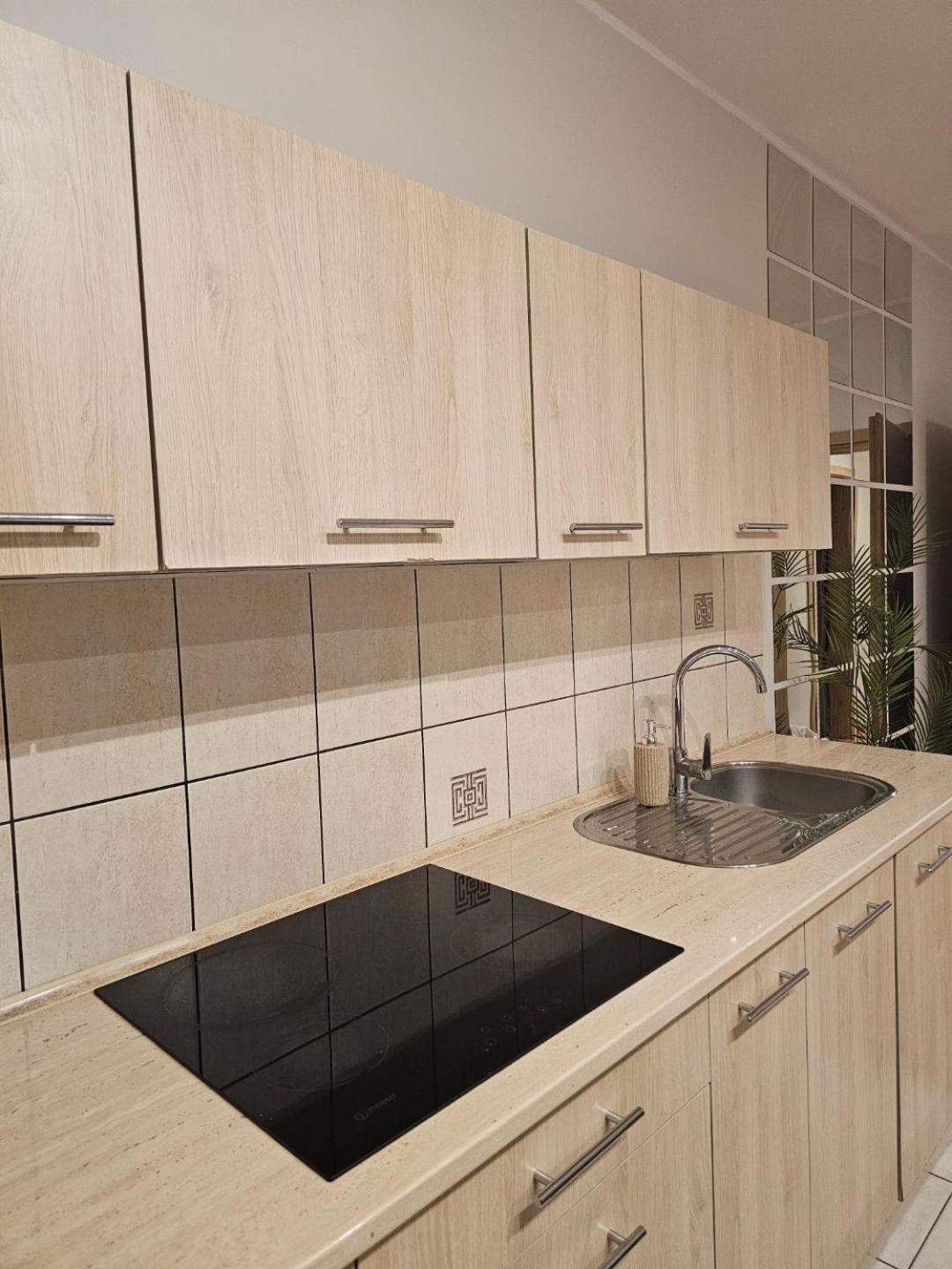 Apartament Rema W Centrum Apartzakop Zakopane Exteriér fotografie